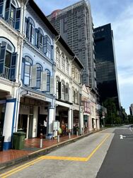 Tanjong Pagar Conservation Area (D2), Shop House #603309841